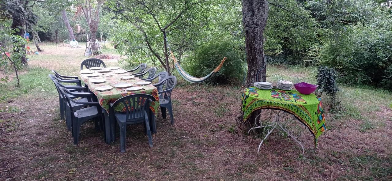 Appart Independant, 1 Lit Deux Personnes Et 1 Appoint Piscine Jardin Direct Gare Aeroport Et Jardin Toulouse Eksteriør billede