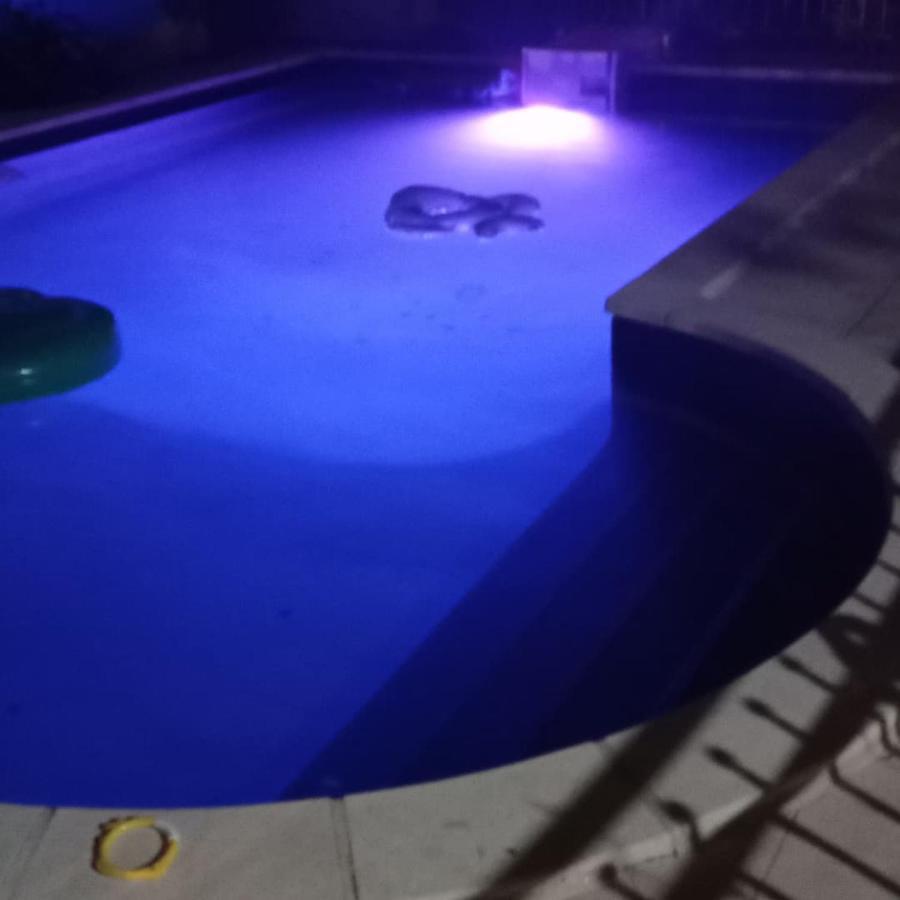 Appart Independant, 1 Lit Deux Personnes Et 1 Appoint Piscine Jardin Direct Gare Aeroport Et Jardin Toulouse Eksteriør billede