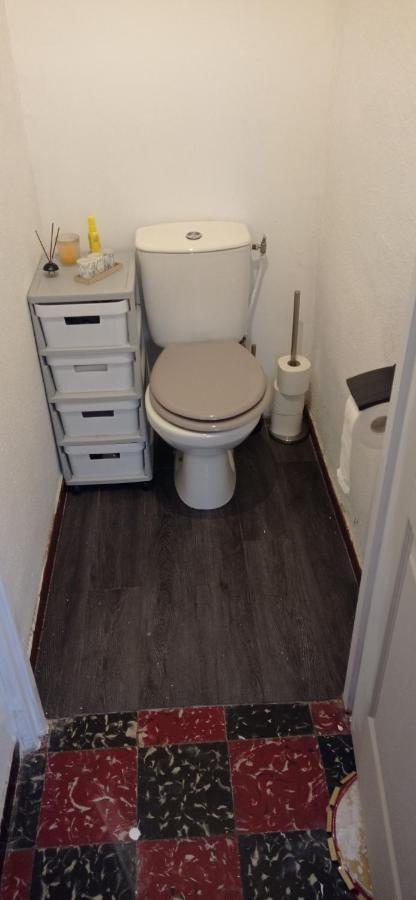 Appart Independant, 1 Lit Deux Personnes Et 1 Appoint Piscine Jardin Direct Gare Aeroport Et Jardin Toulouse Eksteriør billede